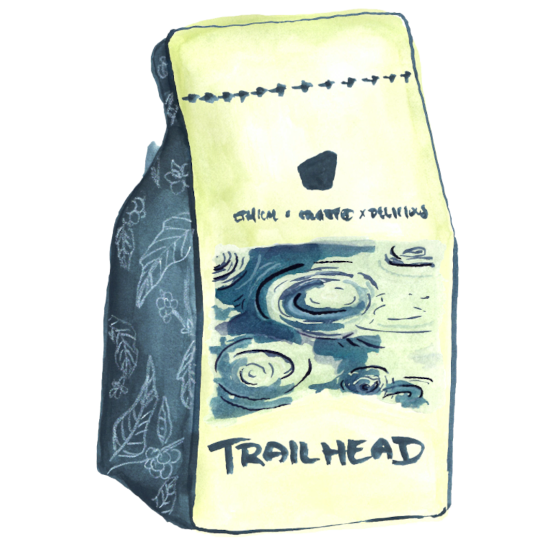 cocoraraです。 Catracha Honduras Coffee — TRAILHEAD COFFEE ROASTERS